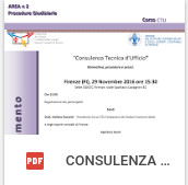 CONSULENZA TECNICA D'UFFICIO - 29.11.16